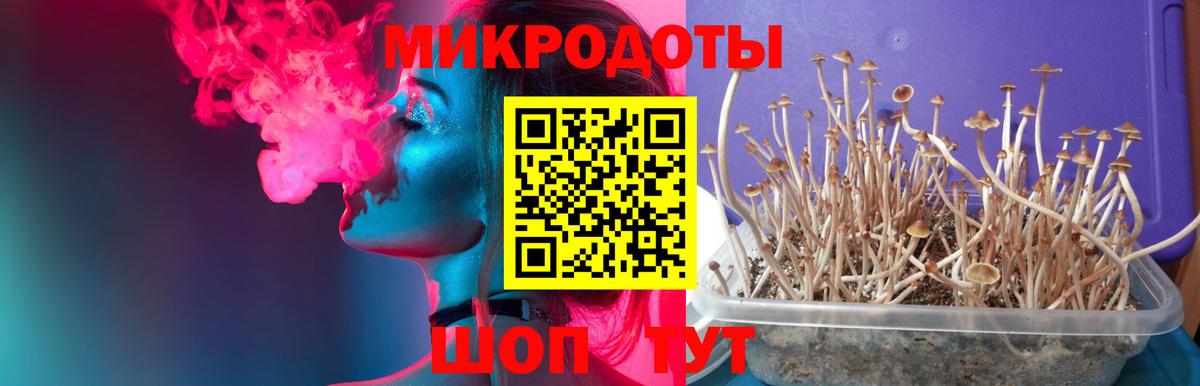 Псилоцибиновые грибы GOLDEN TEACHER Северск